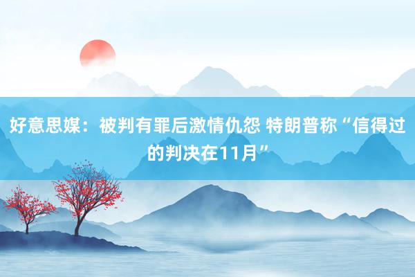 好意思媒：被判有罪后激情仇怨 特朗普称“信得过的判决在11月”