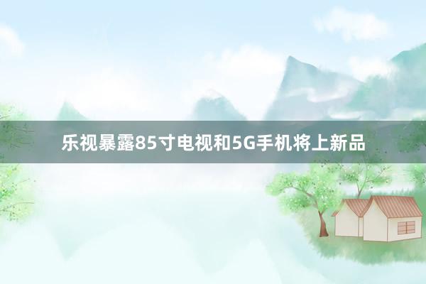 乐视暴露85寸电视和5G手机将上新品