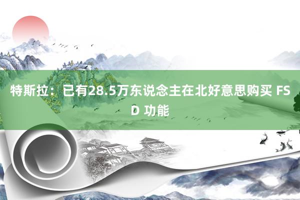 特斯拉：已有28.5万东说念主在北好意思购买 FSD 功能