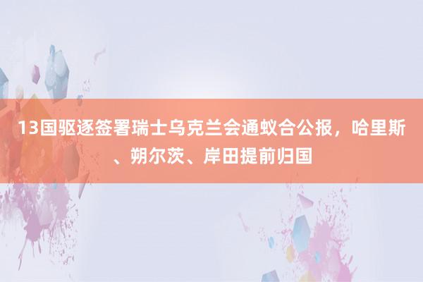 13国驱逐签署瑞士乌克兰会通蚁合公报，哈里斯、朔尔茨、岸田提前归国