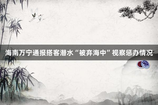 海南万宁通报搭客潜水“被弃海中”视察惩办情况