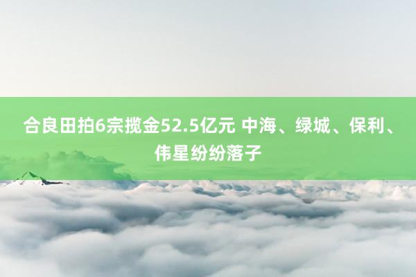 合良田拍6宗揽金52.5亿元 中海、绿城、保利、伟星纷纷落子