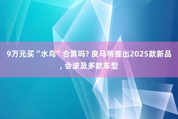 9万元买“水鸟”合算吗? 良马将推出2025款新品, 会波及多款车型