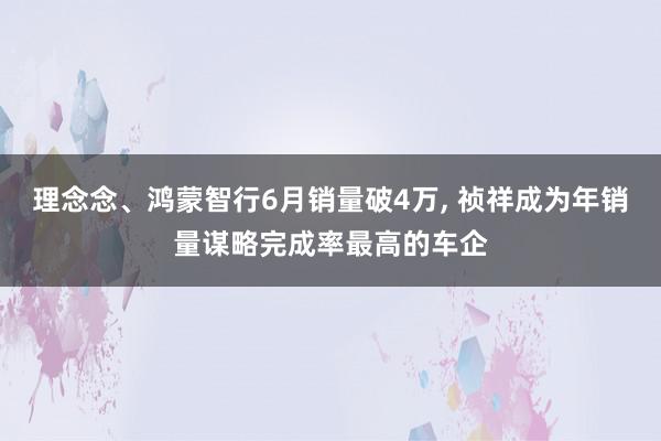 理念念、鸿蒙智行6月销量破4万, 祯祥成为年销量谋略完成率最高的车企