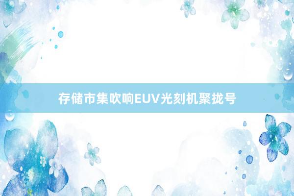 存储市集吹响EUV光刻机聚拢号