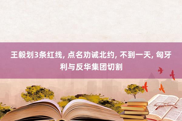 王毅划3条红线, 点名劝诫北约, 不到一天, 匈牙利与反华集团切割