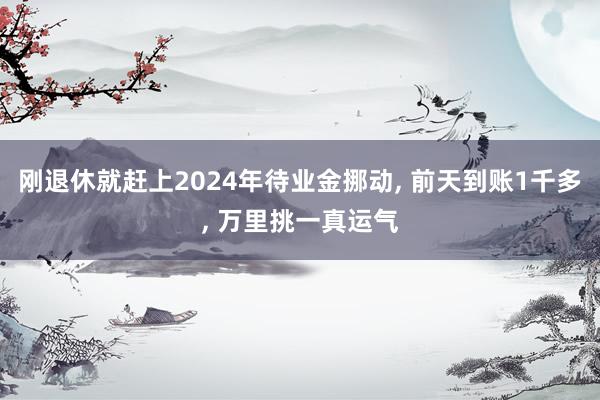 刚退休就赶上2024年待业金挪动, 前天到账1千多, 万里挑一真运气