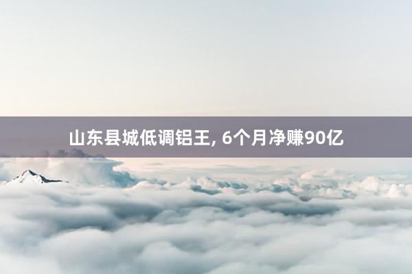 山东县城低调铝王, 6个月净赚90亿