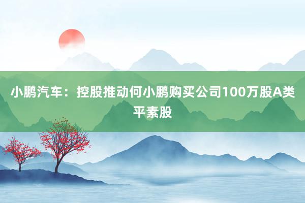 小鹏汽车：控股推动何小鹏购买公司100万股A类平素股