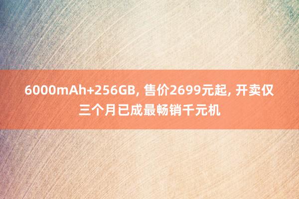 6000mAh+256GB, 售价2699元起, 开卖仅三个月已成最畅销千元机