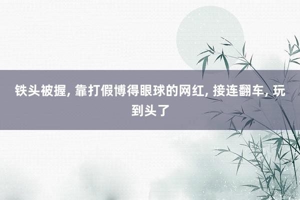 铁头被握, 靠打假博得眼球的网红, 接连翻车, 玩到头了