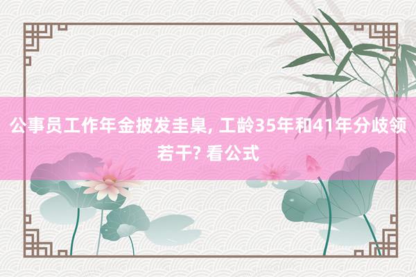 公事员工作年金披发圭臬, 工龄35年和41年分歧领若干? 看公式