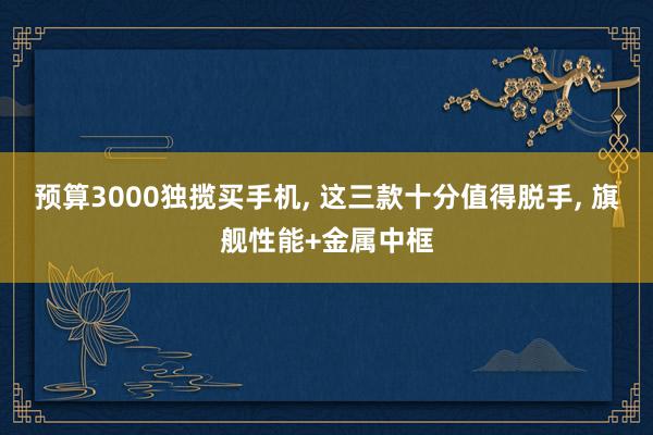 预算3000独揽买手机, 这三款十分值得脱手, 旗舰性能+金属中框