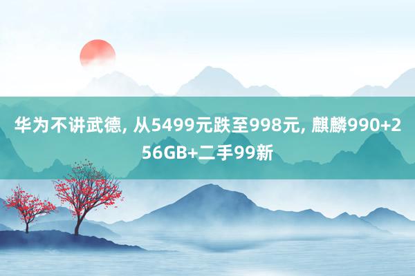 华为不讲武德, 从5499元跌至998元, 麒麟990+256GB+二手99新