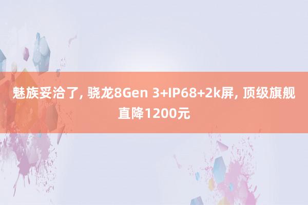 魅族妥洽了, 骁龙8Gen 3+IP68+2k屏, 顶级旗舰直降1200元