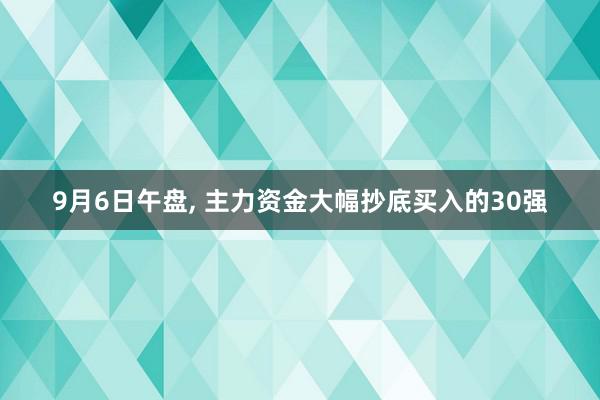 9月6日午盘, 主力资金大幅抄底买入的30强