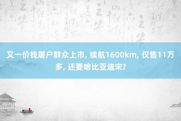 又一价钱屠户群众上市, 续航1600km, 仅售11万多, 还要啥比亚迪宋?