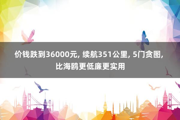 价钱跌到36000元, 续航351公里, 5门贪图, 比海鸥更低廉更实用