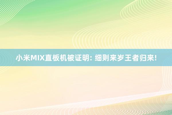 小米MIX直板机被证明: 细则来岁王者归来!