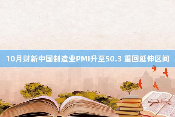 10月财新中国制造业PMI升至50.3 重回延伸区间