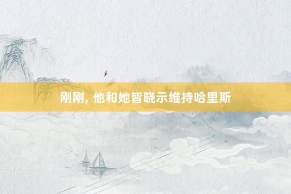 刚刚, 他和她皆晓示维持哈里斯